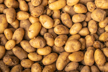 Kartoffeln Annabelle