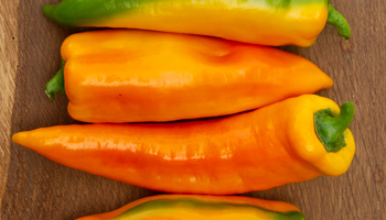 Spitz Paprika, gelb