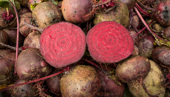 Rote Bete